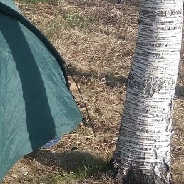 ������, �����-��������, 31 ���