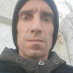 ����, ������, 41 ���