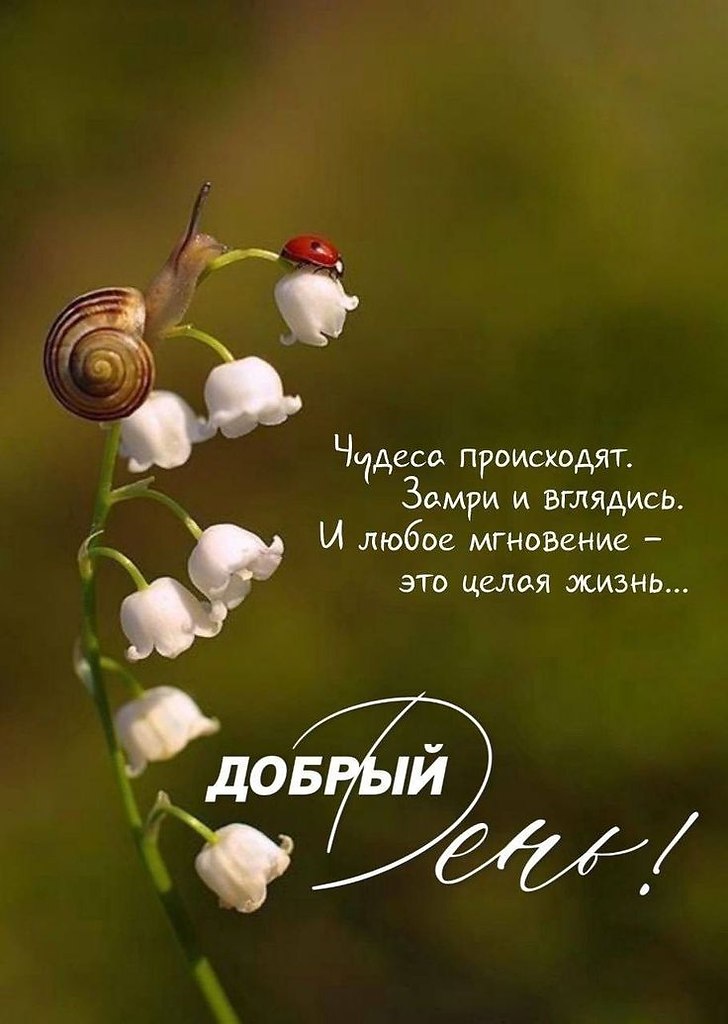 :)