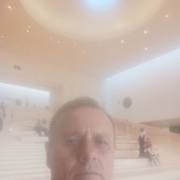 , 67, 