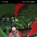 ���� �����, ������������, 54 ���� - ��������� 10 ������� 2026