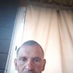 , 44, 