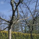 ���� ��������, ��������, 48 ��� - ��������� 27 ������ 2024 � ������ ���� ����������