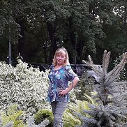 �������, 53 ����, ������������