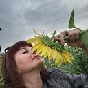 ���� ������, ��� - ��������� 17 ������� 2026 � ������ ���� ����������