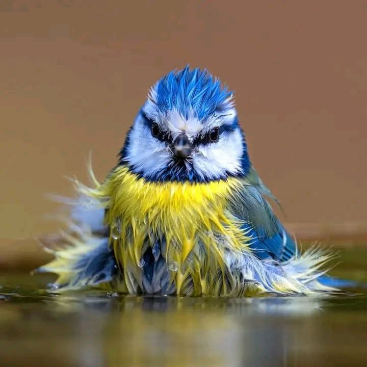 �� ������ ����������...)