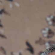 ���������, 63 ����, ���������