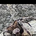 ���� ����, ���������, 47 ��� - ��������� 12 �������� 2024