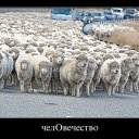 ���� ����, �����������, 53 ���� - ��������� 6 ������ 2024 � ������ ������� �������.�