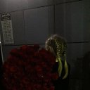 ���� ���������, �����������, 41 ��� - ��������� 9 ������ 2026 � ������ ���� ����������