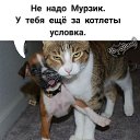 ���� �������, ������ - ��������� 21 �������� 2025 � ������ ������ ��������