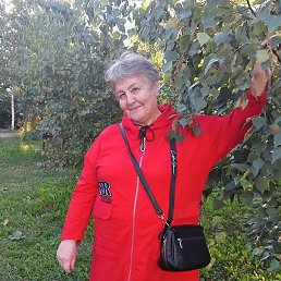 �������, �����������, 72 ����