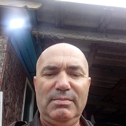, 56 , 