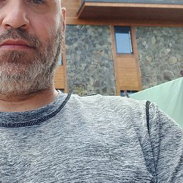 David, �������, 46 ���