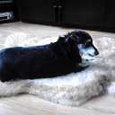  Louda05, , 27  -  9  2025