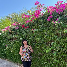 �����, ���������, 55 ���