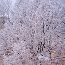 ���� ������, �����-��������� - ��������� 16 ����� 2025 � ������ ������ ��������