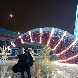 �����, ������, 43 ����