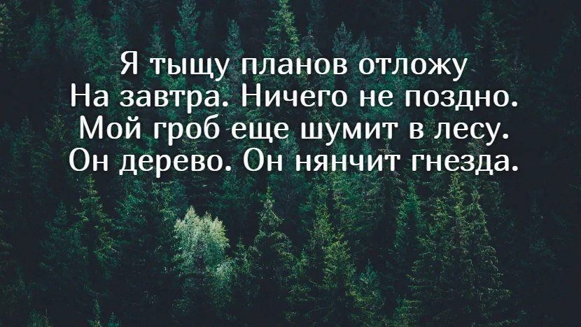   - 19  2025  13:21