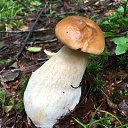 ���� ����, �����������, 67 ��� - ��������� 5 ������� 2024 � ������ ���� ����������