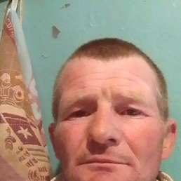 ������, 41 ���, �����������