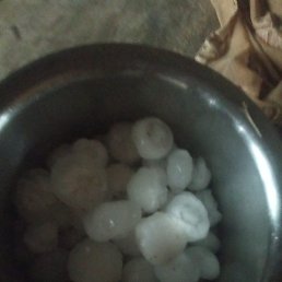 Shahid Ali, ����, 78 ���