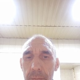 , 44, 