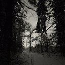 ���� ���������, ������, 33 ���� - ��������� 8 ������� 2026 � ������ ���� ����������