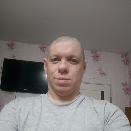 ���� ������, �����, 41 ��� - ��������� 26 ����� 2026