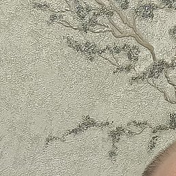 ������, ���������� �����, 48 ���