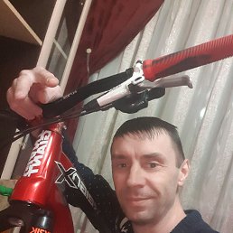 , 41, 