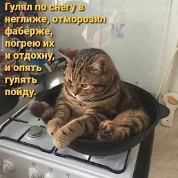 ���������, ������, 45 ���