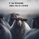 ���� �������, ������������, 61 ��� - ��������� 20 ���� 2025 � ������ ������ ��������