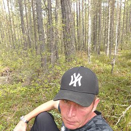 ��������, ������ ��������, 46 ���