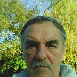, 63 , 