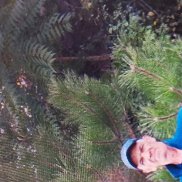 ������, 58 ���, �������