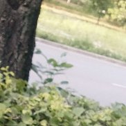, 41 , 