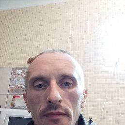 , 40, 