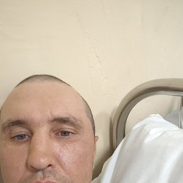 , 37, 