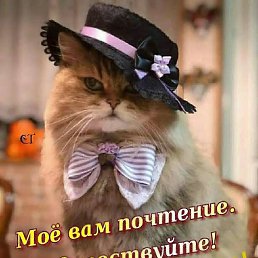 �������, ����, 65 ���