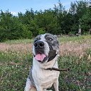 ���� ������, ������-��-����, 27 ��� - ��������� 22 ���� 2025