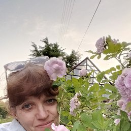 , 56, 