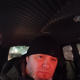 ������, 41 ���, ����� �������