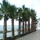 ���� Vasilii, ��������, 69 ��� - ��������� 30 ����� 2025 � ������ ���� ����������