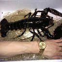 ���� Igor, ���� - ��������� 4 ���� 2025 � ������ ���� ������.�