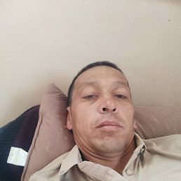 , 37, 