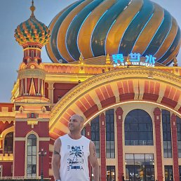 ����, 43 ����, ���������