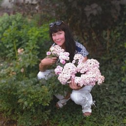 ������, �������, 66 ���