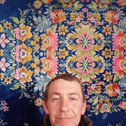 ������, 43 ����, ���������