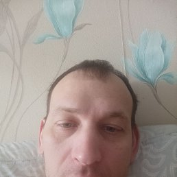 ������, 41 ���, �����